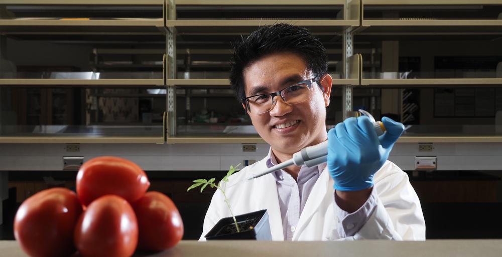 Dr. Tuan Tran, assistant professor of biology at the University of South Alabama, was awarded a $40,000 grant by the USDA and the Alabama Department of Agriculture and Industries to study a soil-based bacterium that causes wilt in crops such as tomatoes, peppers and potatoes.  data-lightbox='featured'
